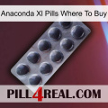 Anaconda Xl Pills Where To Buy 30